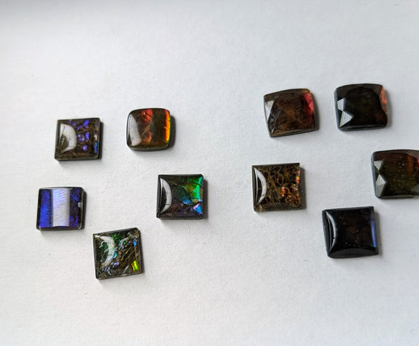 Square Ammolite gemstone size 10mm natural and genuine : E00bundle32