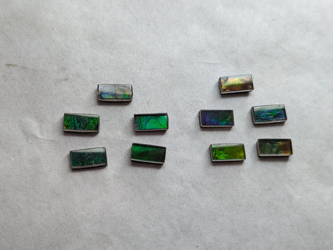 Rectangle Ammolite gemstone size 5X10mm natural and genuine : E00bundle37