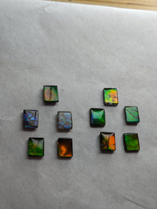 Rectangle Ammolite gemstone size 8X10mm natural and genuine : E00bundle38