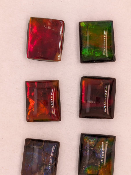 Rectangle Ammolite gemstone size 12X10mm natural and genuine : E00bundle39