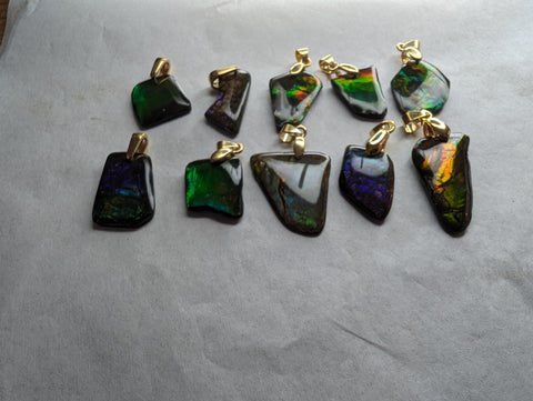 Ammolite Freeform Bundle with Gold Plated Bail: E00Bundle60