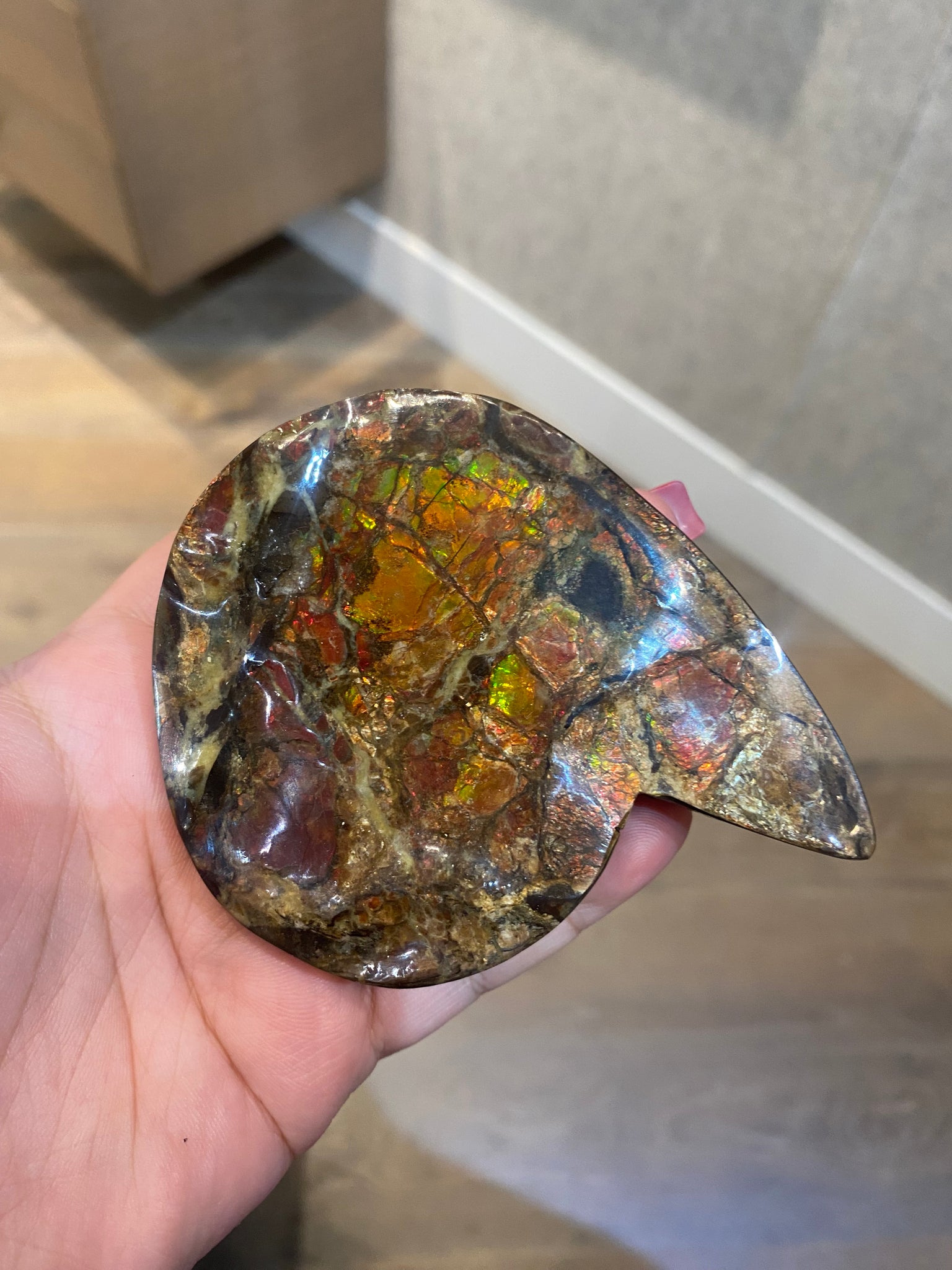 Ammonite Art Piece 38x47mm PN E21411