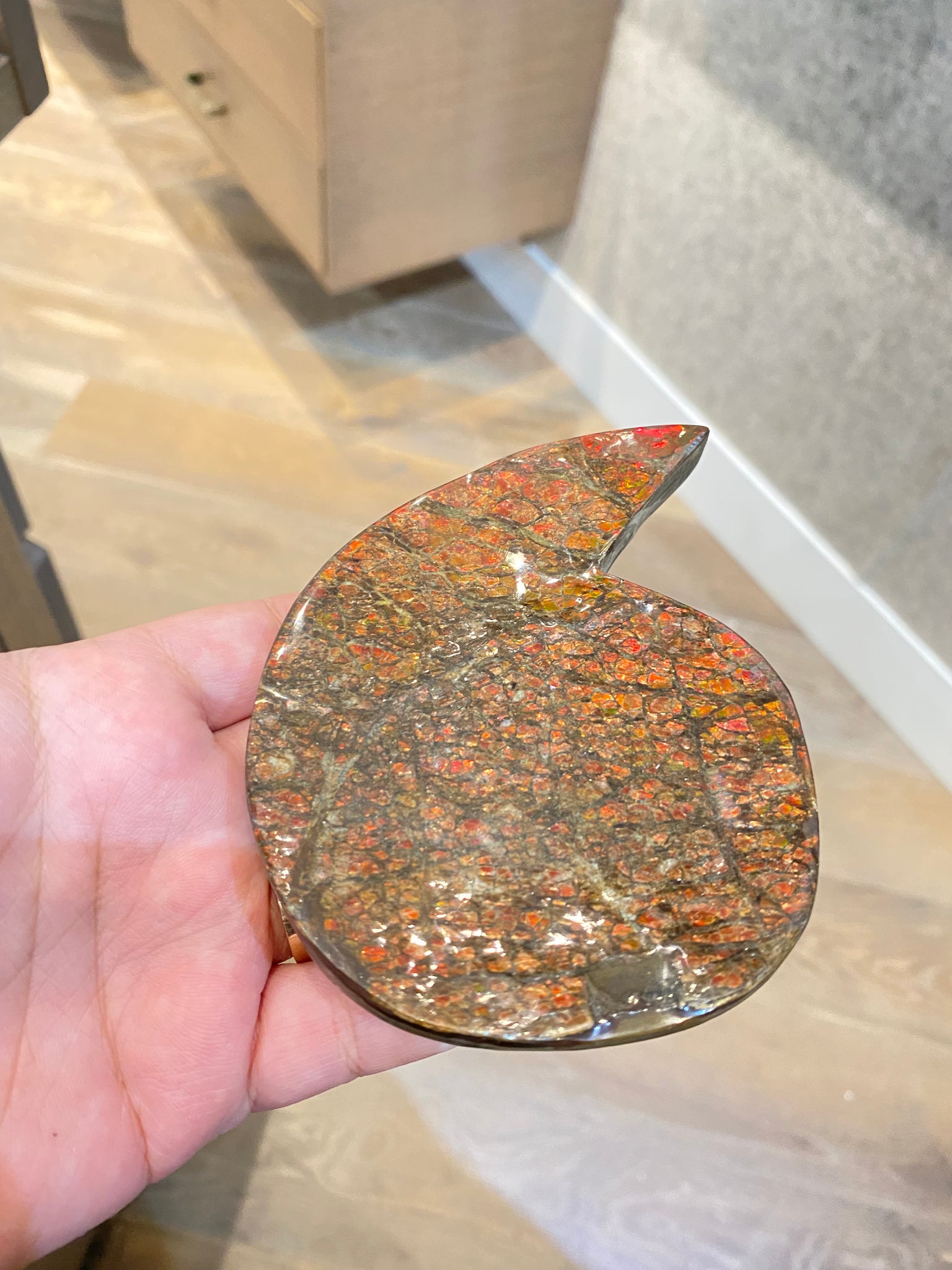 Ammonite Art Piece 34x49mm PN E004222