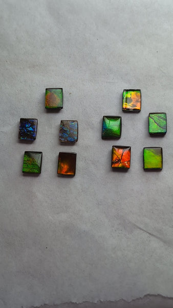 Rectangle Ammolite gemstone size 8X10mm natural and genuine : E00bundle38