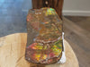 Natural Canadian Ammolite Hand Piece. Ammonite Hand Piece  70x130mm 