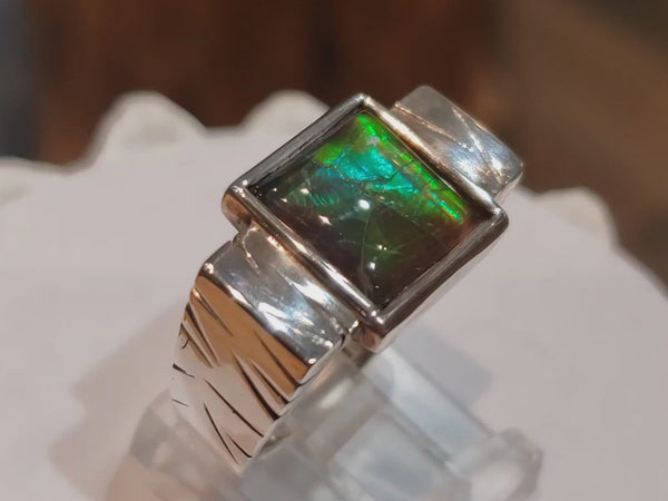 Canadian Ammolite "EverGreen" Series Silver Ring. PN. E20682  Size 9