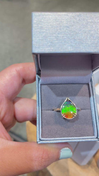 Ammolite pear-shaped Tricolor Ring in Yellow Gold Video PN E136R-12