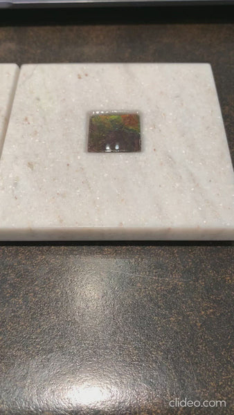 Ammolite Coaster in Dolomite Stone with Ammolite Gemstone Video