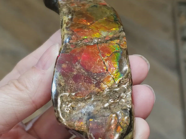 Ammonite Art Piece that is approximately 35x110mm with nice Red Sections and Green and Yellow Flashes