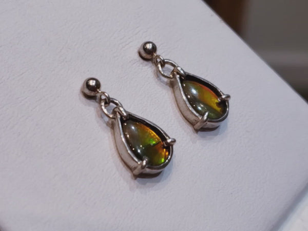 Ammolite Round Drop Earrings with Multiple Colors PN. E10661