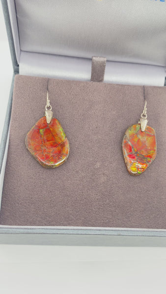 Ammolite Freeform Earrings set in SLV Video PN E20774 