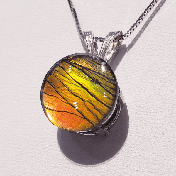 Ammolite Pendant with 10mm Gemstone Set in Silver PN: AF-20192 %product from Empire Ammolite