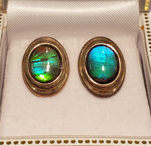 Ammolite Sterling Silver Stud Oval Earrings with Blue and Green PN: AF-8N40 %product from Empire Ammolite