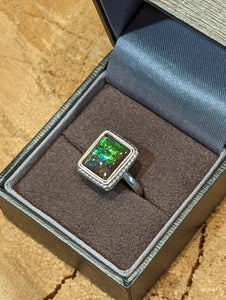 Ammolite Silver Ring with 8x10mm Gemstones PN AZ005 %product from Empire Ammolite
