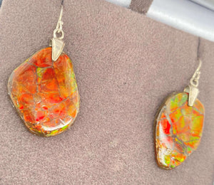 Ammolite Freeform Earrings set in SLV Right View PN E20774 