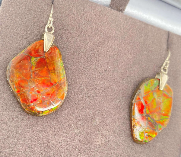 Ammolite Freeform Earrings set in SLV Right View PN E20774 