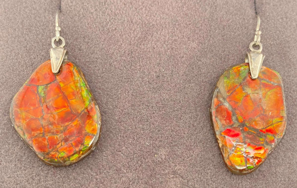 Ammolite Freeform Earrings set in SLV Front View PN E20774 