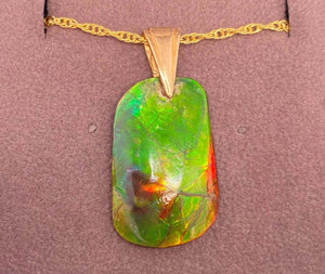 Ammolite Freeform Pendant that is 15X25MM PN E1379 