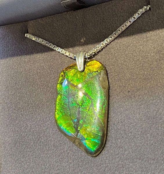 Ammolite Freeform with Green, Blue and Yellow colors PN E21341