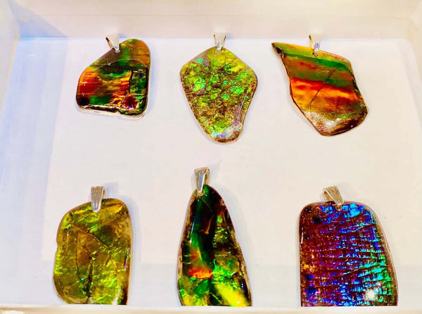 Ammolite Silver Freeform demonstrating all the Six pieces PN E21341 