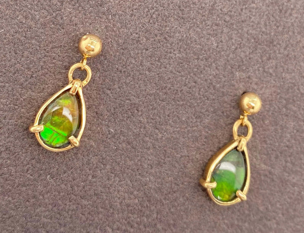 Ammolite Gold Pear Drop Earrings Right View PN E20042 