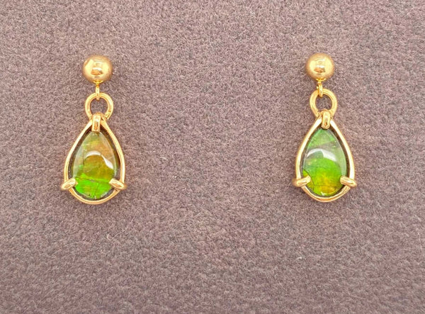 Ammolite Gold Pear Drop Earrings PN E20042