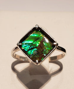 Ammolite Ring with a 10mm Diamond Shaped Gemstone PN: E20581 %product from Empire Ammolite