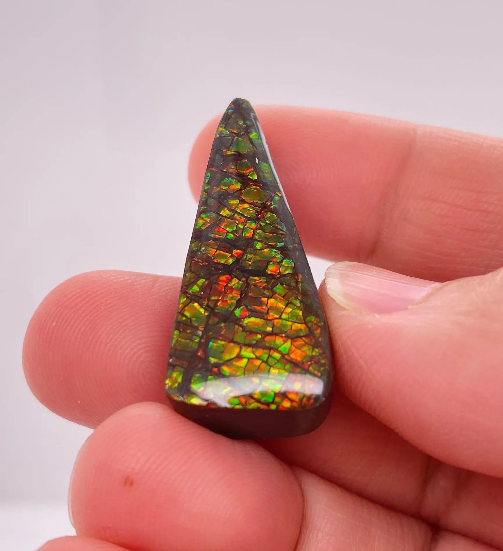 Ammonite Art Piece 13x32mm PN E170-47 
