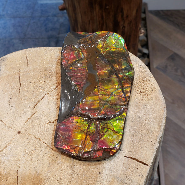 Ammonite Hand Piece that is 70x130mm PN E1381D %product from Empire Ammolite