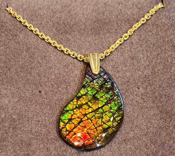 Ammonite Shaped Gold Freeform Pendant with various Colors PN E21241 %product from Empire Ammolite