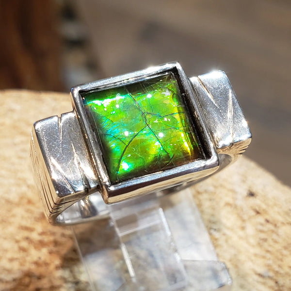 Canadian Ammolite "EverGreen" Series Silver Ring. PN. E20682  Size 9 %product from Empire Ammolite