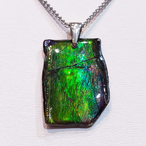 Ammolite Freeform And Sterling Silver Bail 19x28mm PN. E10523 %product from Empire Ammolite