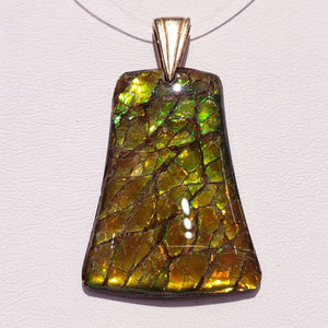 Ammolite Freeform Pendant 23X31MM With 14KYG Bale PN:E10553 %product from Empire Ammolite
