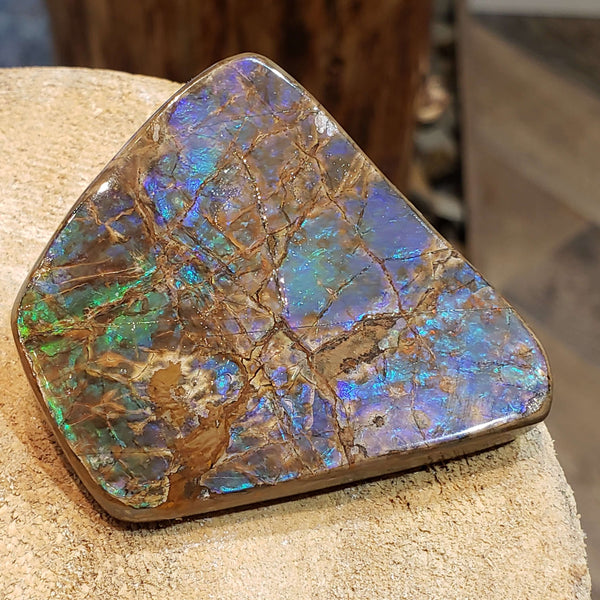 Ammolite Art Piece 50x57mm PN E137B