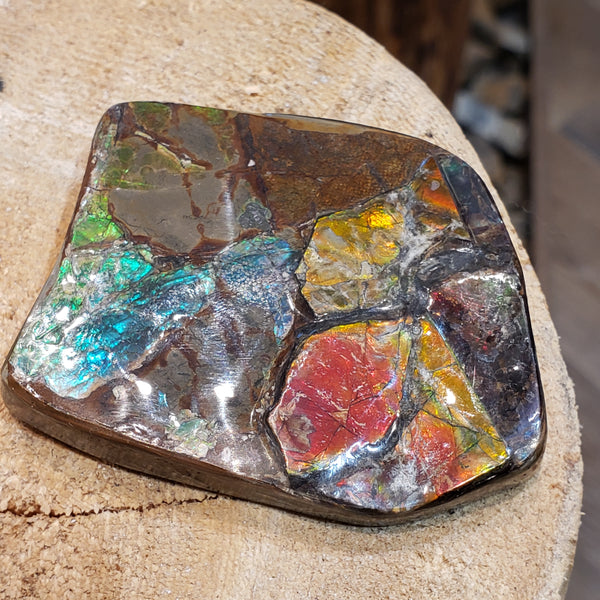 Ammonite Art Piece 64X51mm PN: E150-K %product from Empire Ammolite