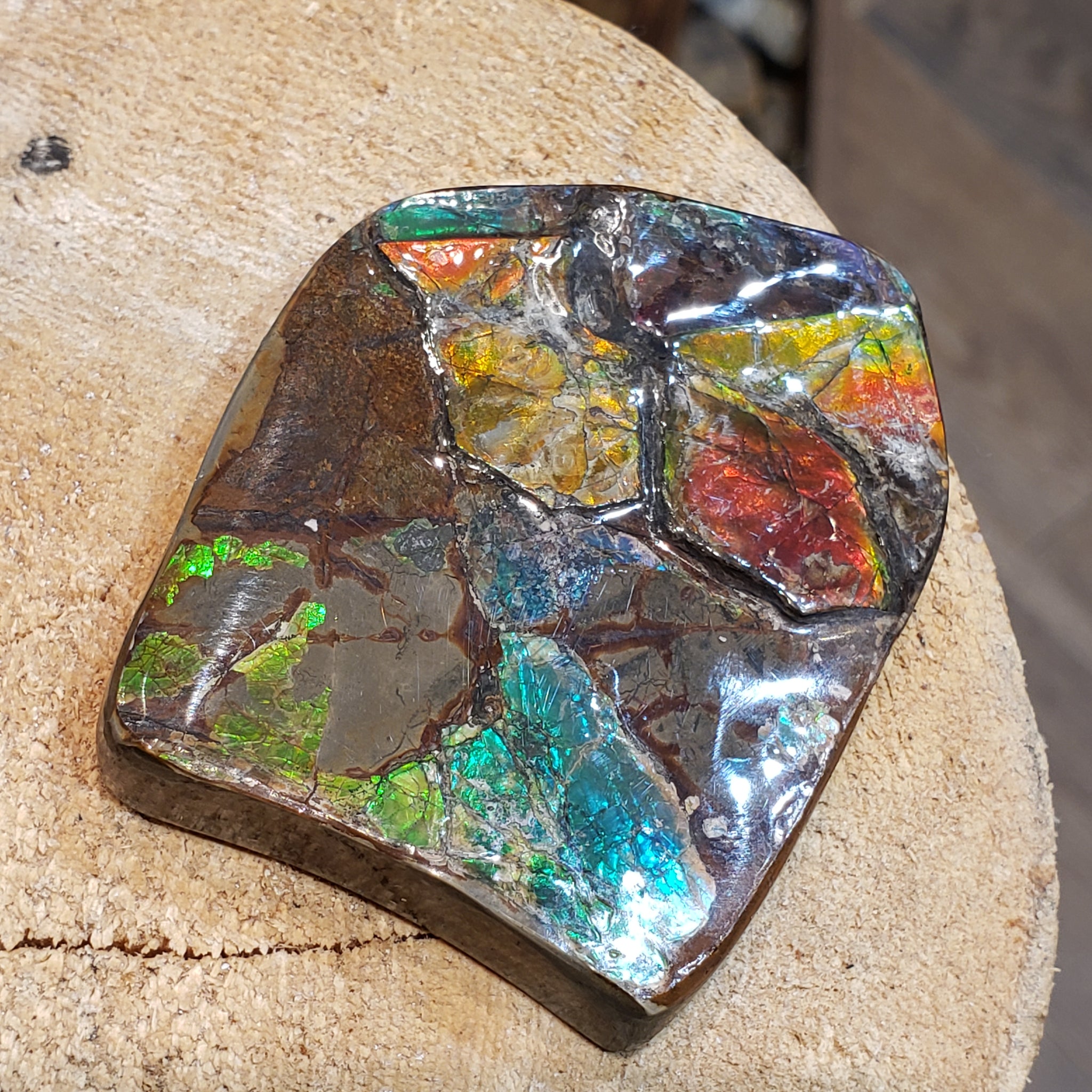 Ammonite Art Piece 64X51mm PN: E150-K %product from Empire Ammolite