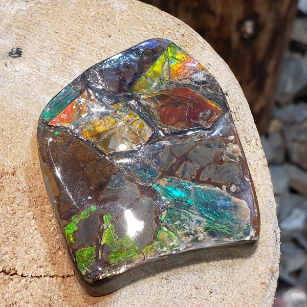 Ammonite Art Piece 64X51mm PN: E150-K %product from Empire Ammolite