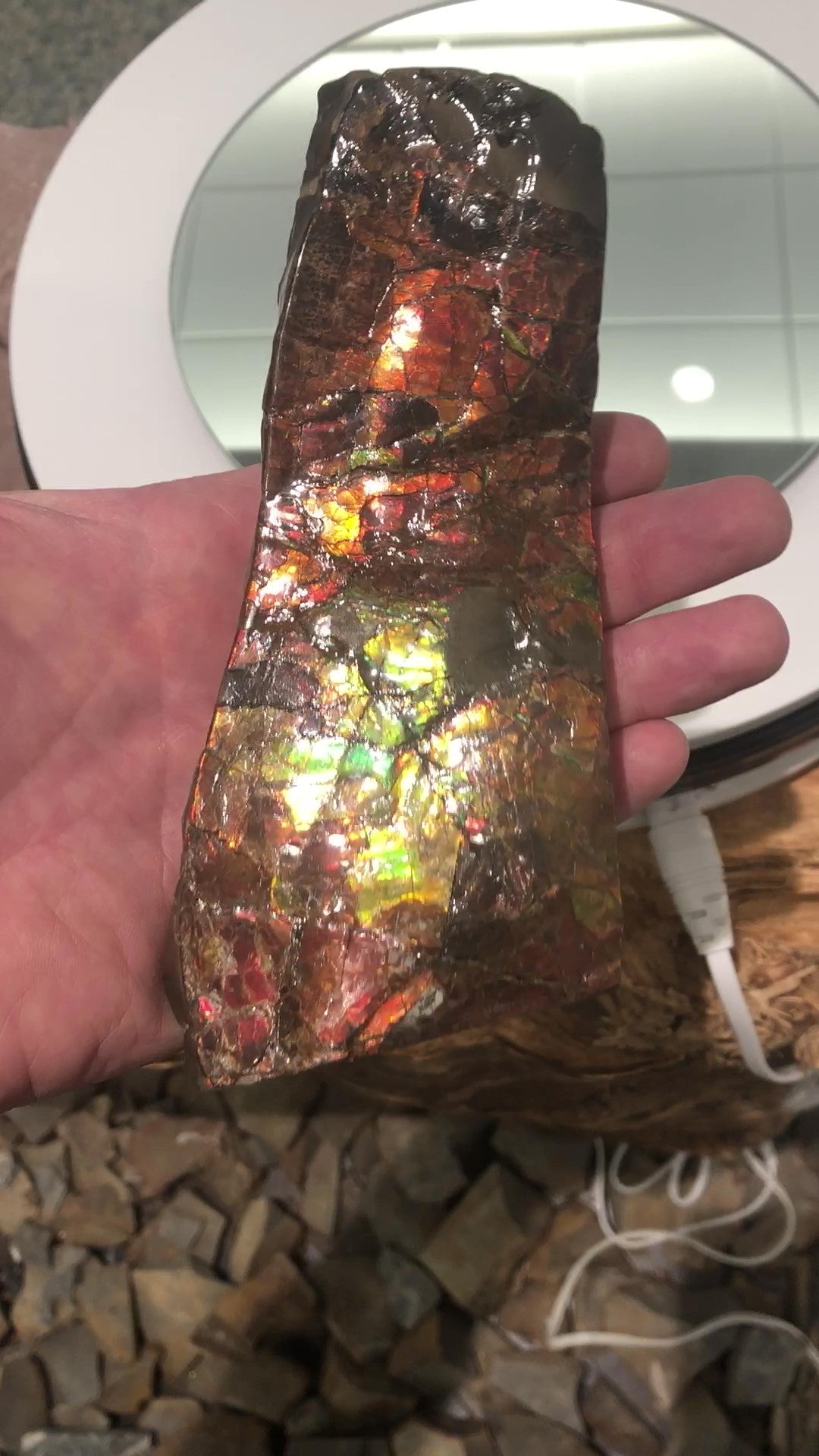 CDN Export Permit %product from Empire Ammolite