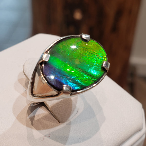 Ammolite Ring with an Oval 12x16mm Gem Set in Silver PN: E20691 %product from Empire Ammolite