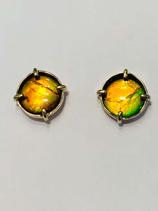 Ammolite Gold Earring Set in 18K Gold with 8mm Gemstones PN: E20834 %product from Empire Ammolite