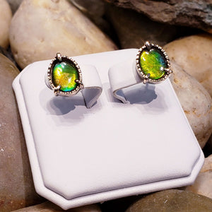 Ammolite Gold Petite Oval Earrings with Green and Yellow PN: E21091 %product from Empire Ammolite