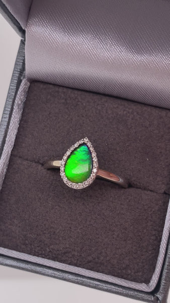 Ammolite White Gold Petite Pear Ring Video PN E21383 