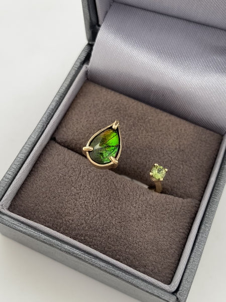 Ammolite Split Ring set in 14K Yellow Gold Video PN E20842 