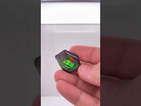 Ammonite Art Piece 25x30mm Video PN E1376 
