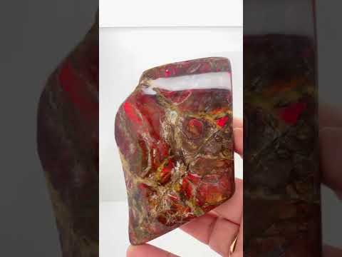 Ammonite Art Piece 86x57mm Video PN E170-42