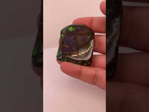 Ammonite Art Piece 42x37mm Video PN E170-27 