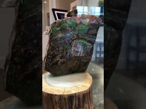 Large Double Sided Canadian Ammonite Piece Video