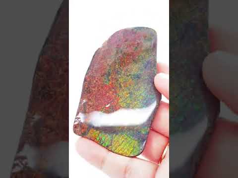 Ammonite Art Piece 90x54mm Video PN E004A