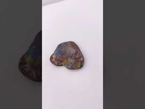 Ammonite Art Piece 30x35mm Video PN E1384