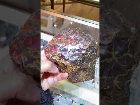 Ammonite Art Piece 110X130mm Video PN E1125-4 